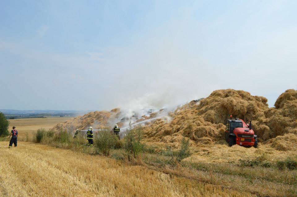 Buřenice (2)