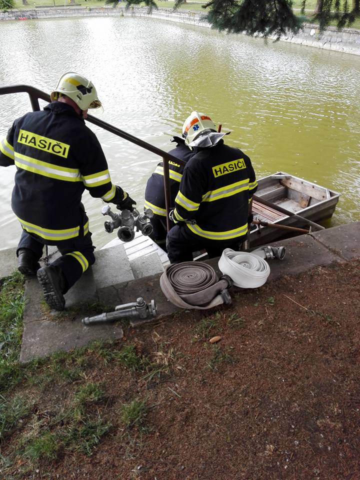 19274809_10207587848449077_7208631101426996881_n